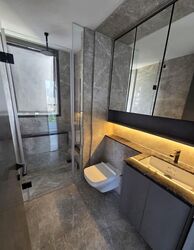 The Landmark (D3), Condominium #558406451